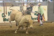 IMG_1557