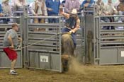 IMG_1563