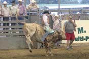 IMG_1571