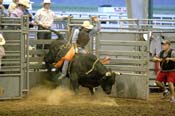 IMG_1579